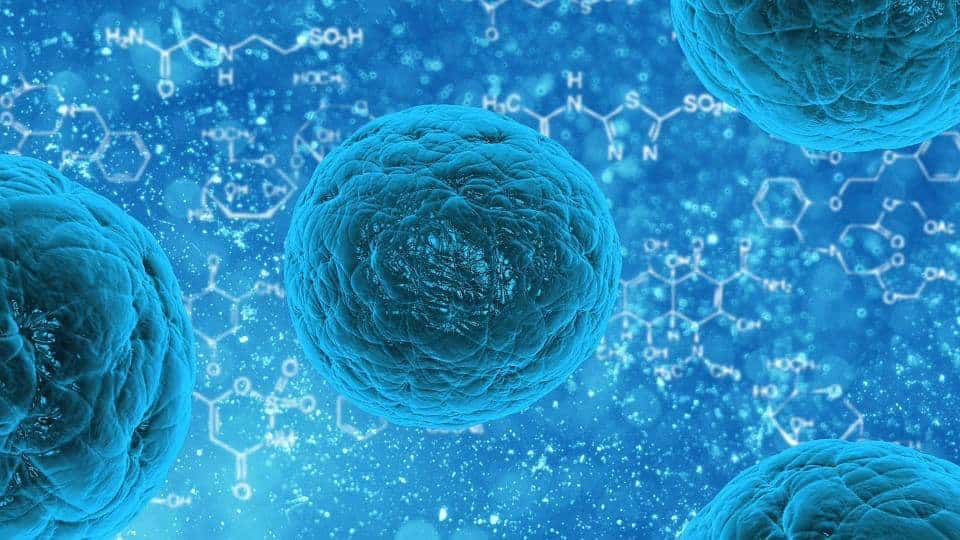 Ricerca sul diabete: novità scientifiche e frontiere delle nuove cure